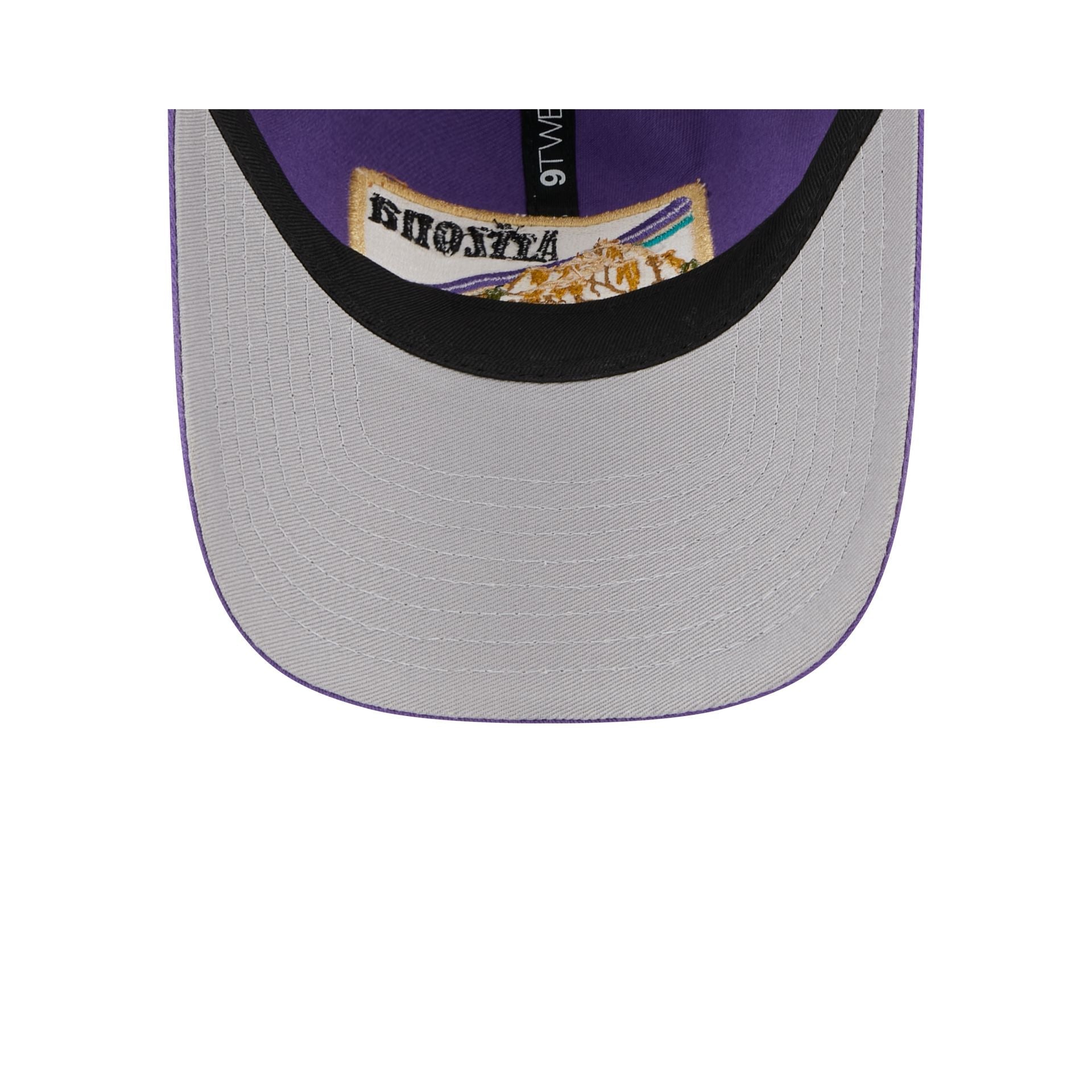 Arizona Diamondbacks State Souvenir 9TWENTY Trucker Hat