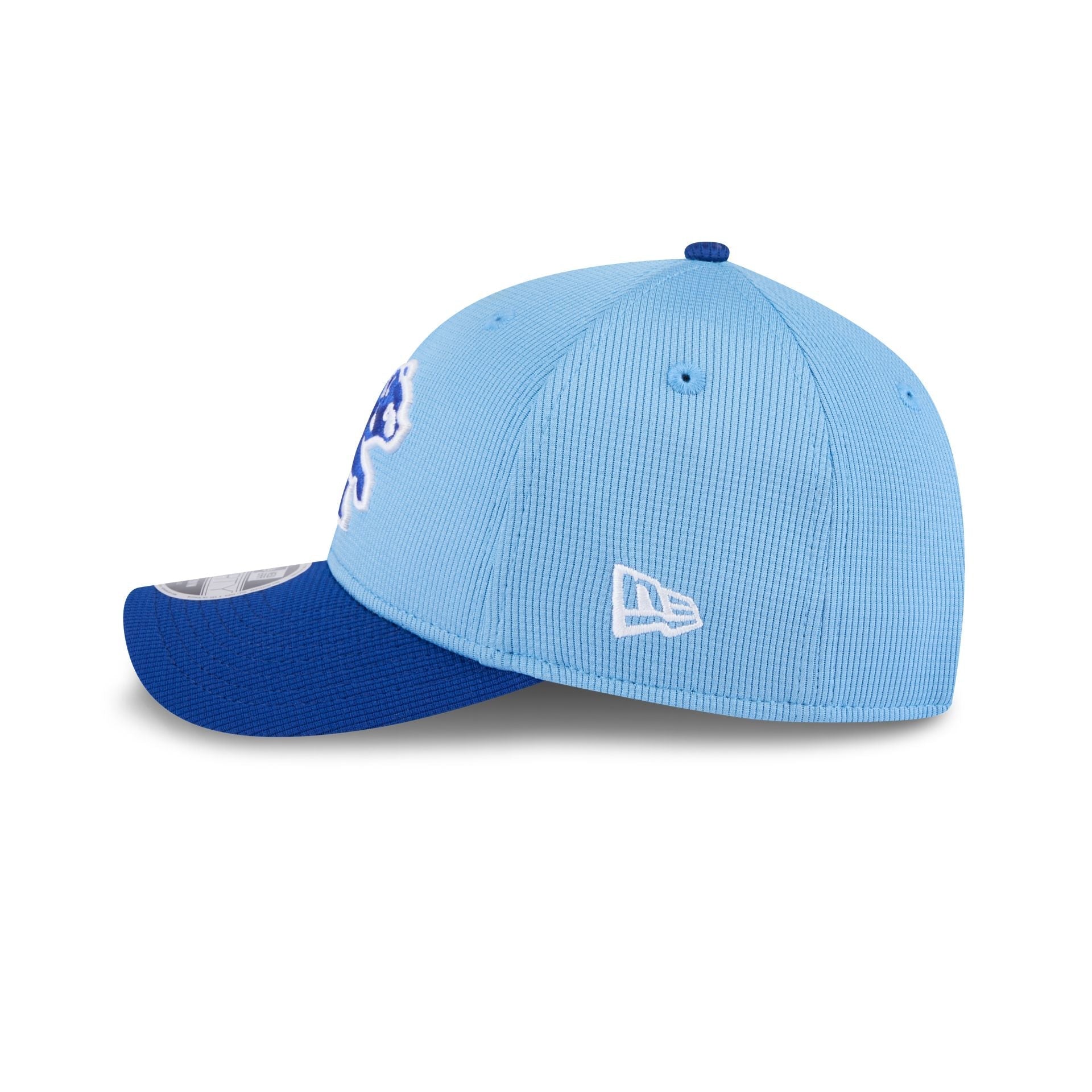 Chicago Cubs 2025 Spring Training 9FORTY M-Crown Snapback Hat