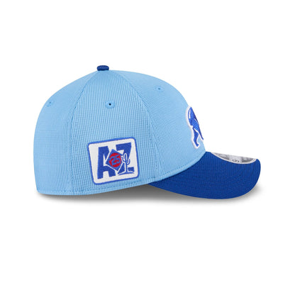 Chicago Cubs 2025 Spring Training 9FORTY M-Crown Snapback Hat